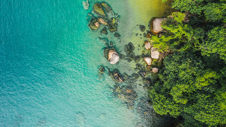 Coastline from above