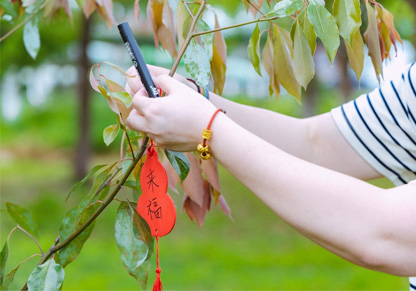 Tree planting in China