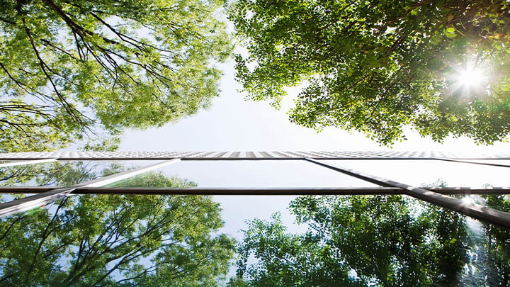 Windows of an office building with trees in the reflection.