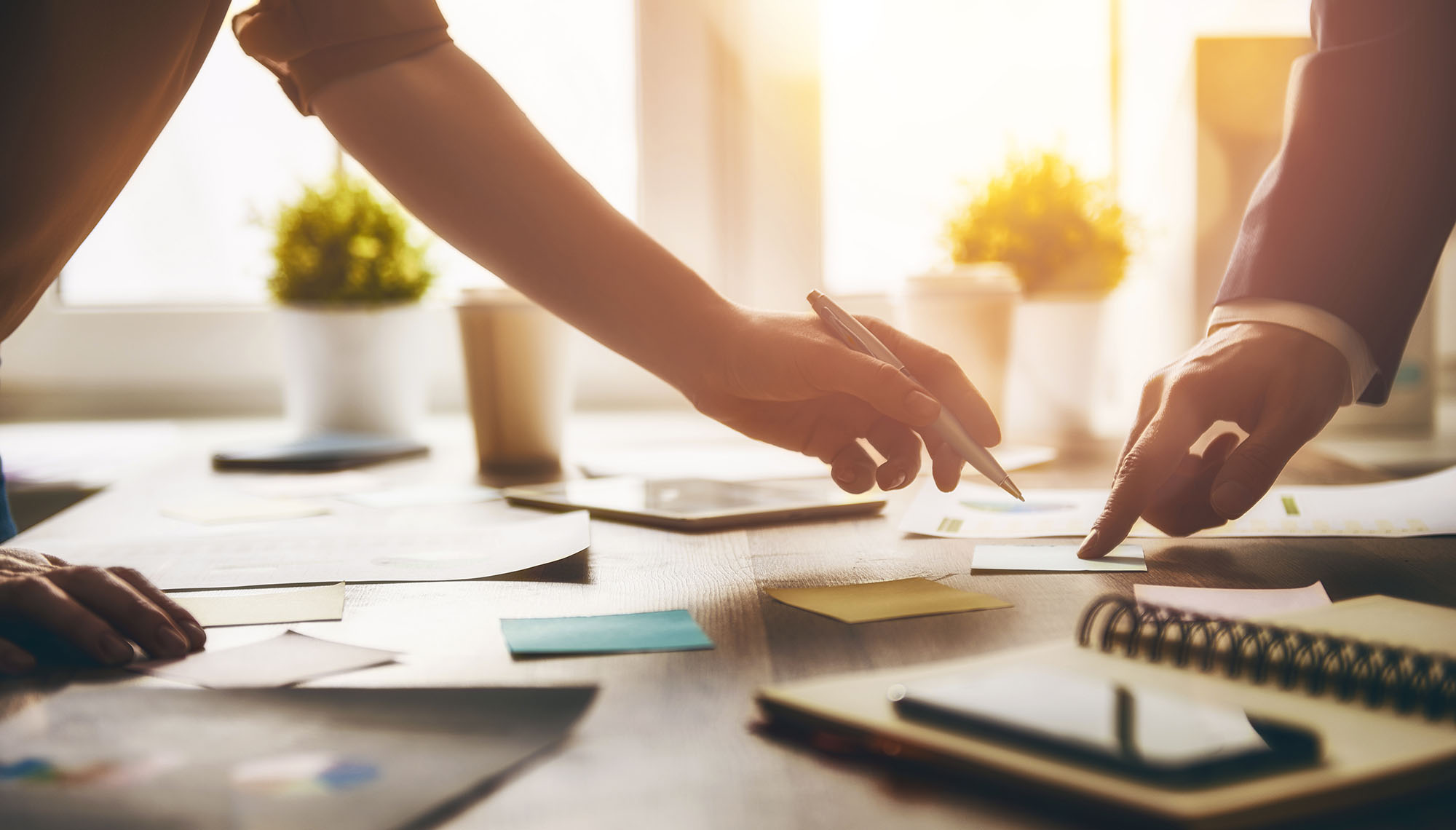 close up of two people working in an office pointing at some papers on a desk