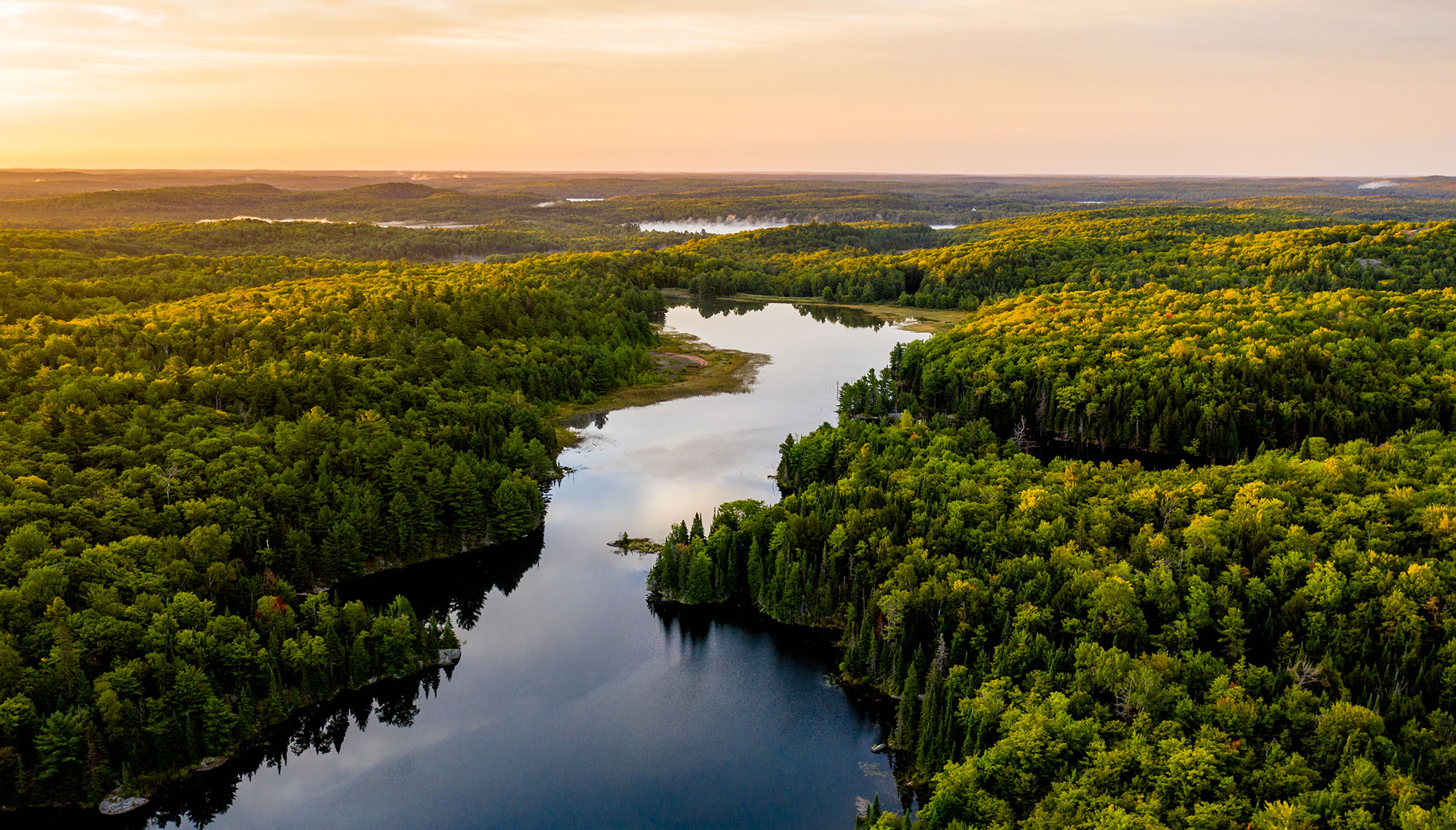 A river snakes through a hillside lined with trees as the sunrises in the distance