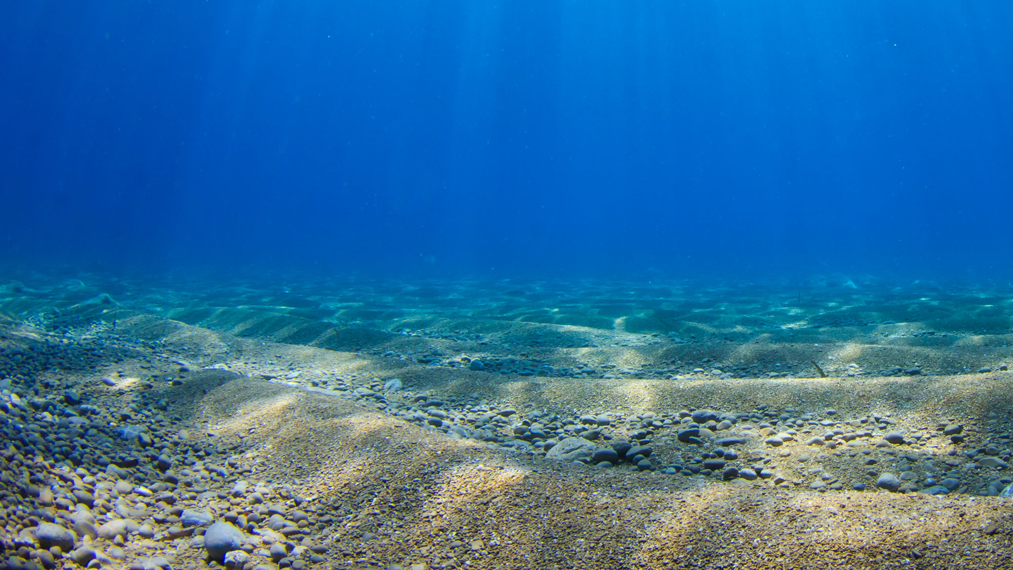 Underwater ocean scene with blue water, sandy seabed and sunbeams shining through water