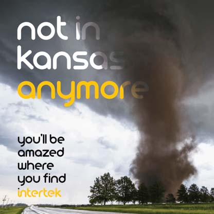 A tornado moving through a group of trees next to the road